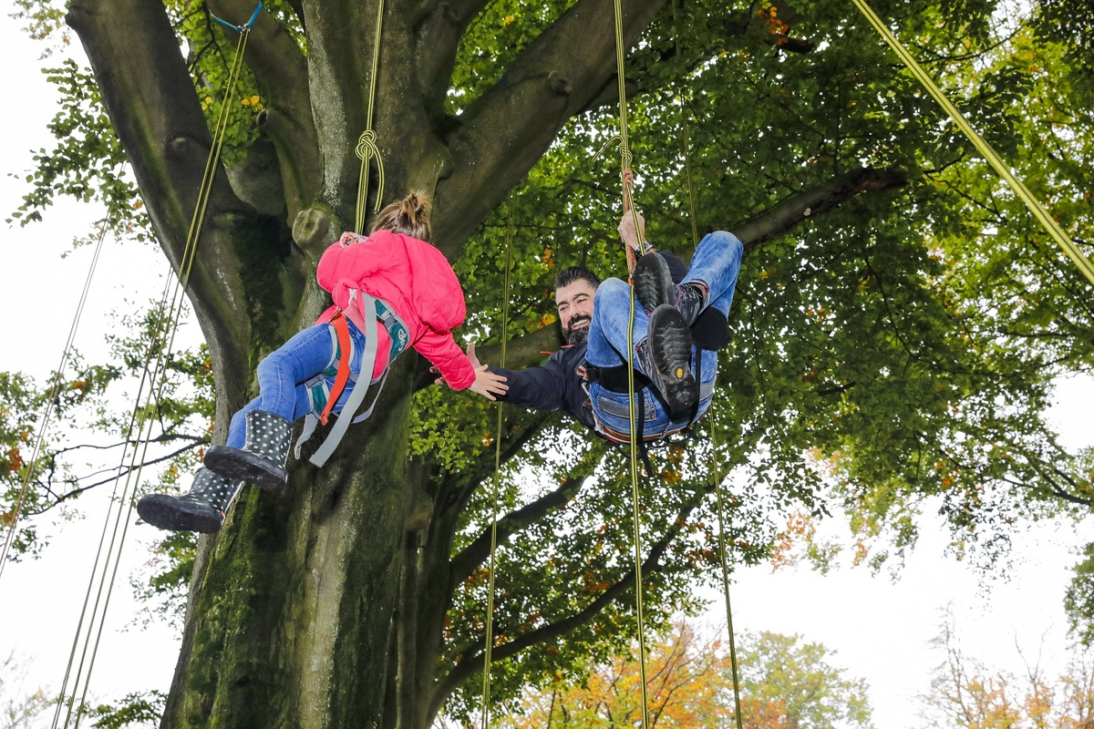 Osez la grimpe dans les arbres !